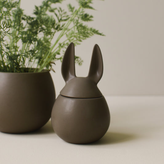 DBKD eating rabbit dust small