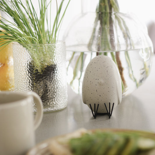 DBKD sit around mole dot