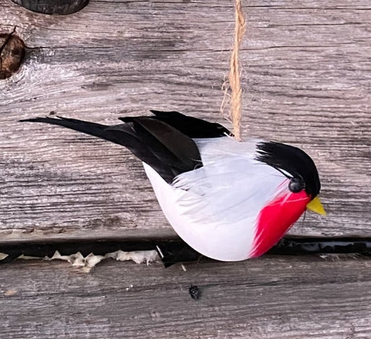 UND Dompap m med heng