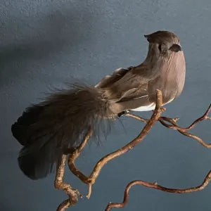 UND Rufsestjert Beige m/klype