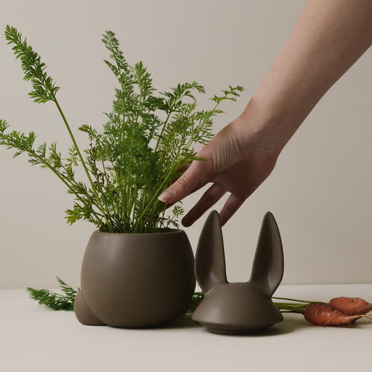 DBKD eating rabbit dust large